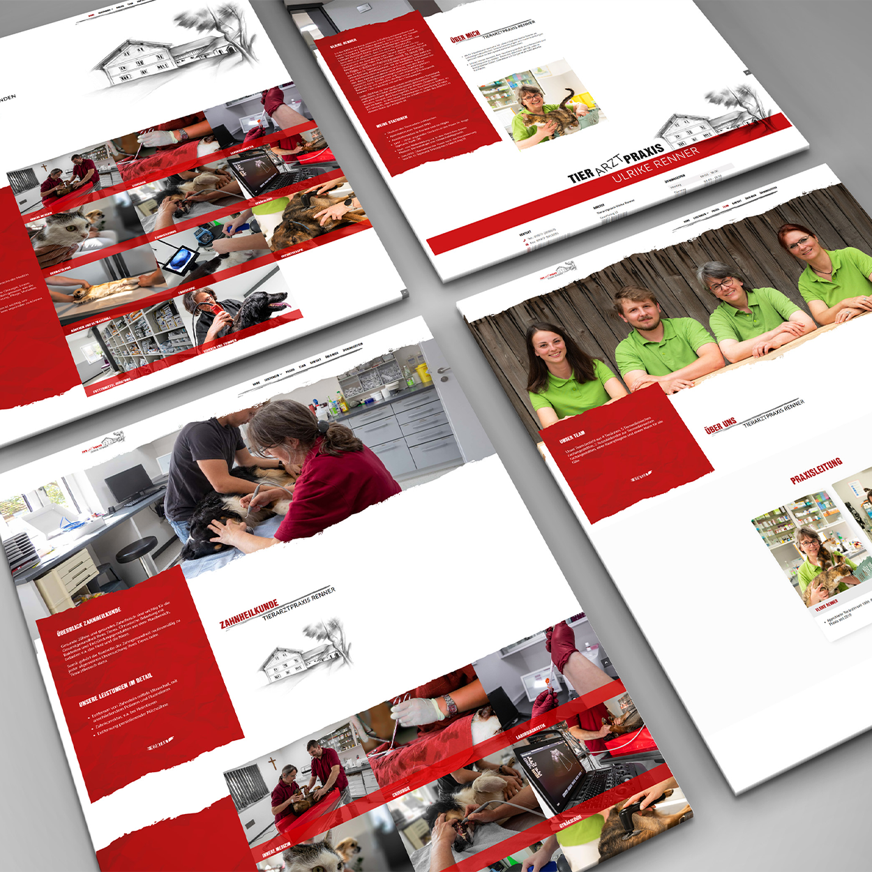 Perspektivische Ansicht eines umfangreichen und freundlichen Webdesigns.